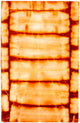 Vintage Rug 183x118cm - Vintage Rug