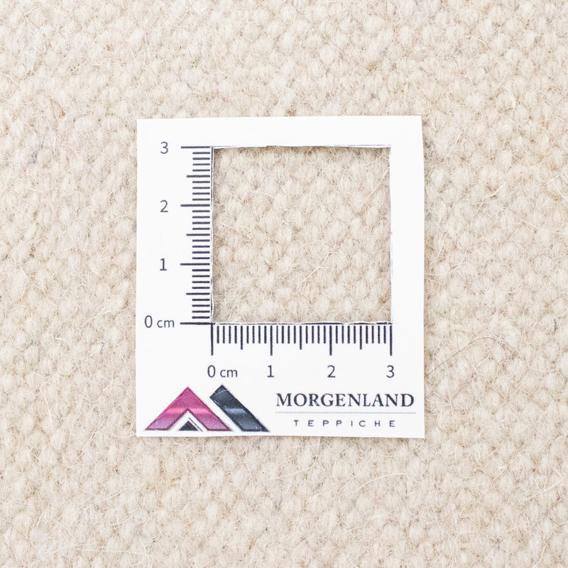 Kelim Rug - Trendy - 300 x 200 cm - beige