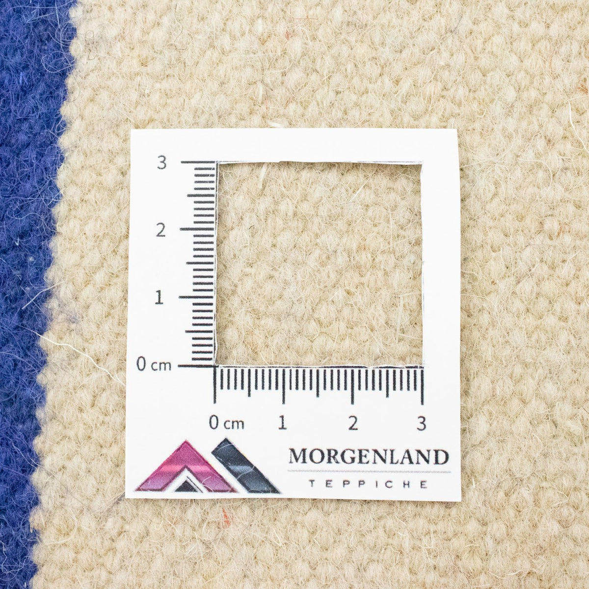 Kelim Rug - Trendy - 300 x 200 cm - beige