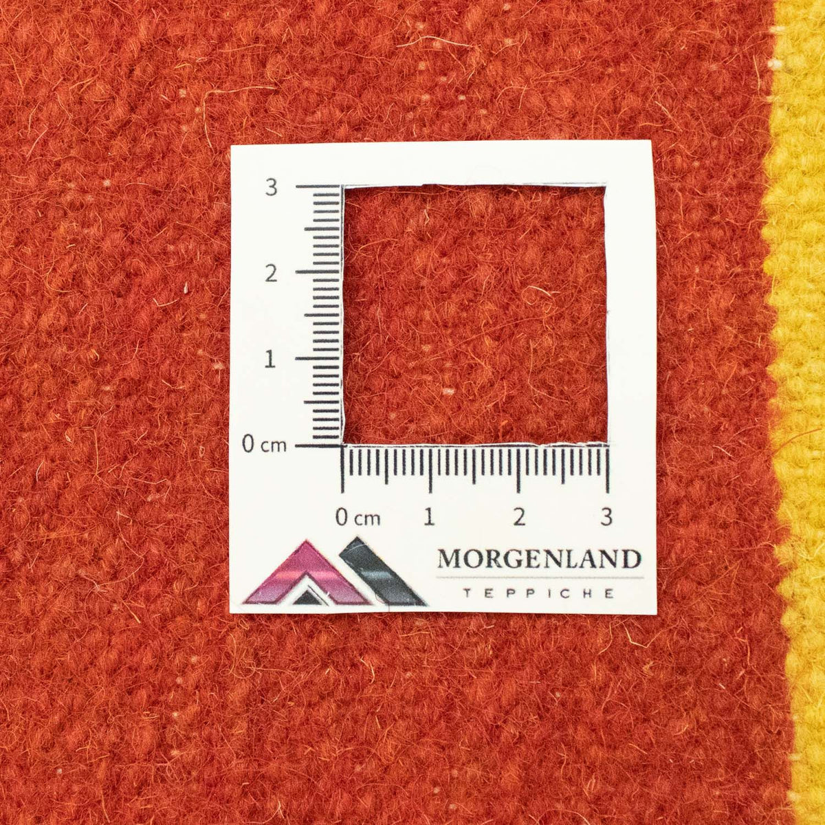 Kelim Rug - Trendy - 300 x 200 cm - blue