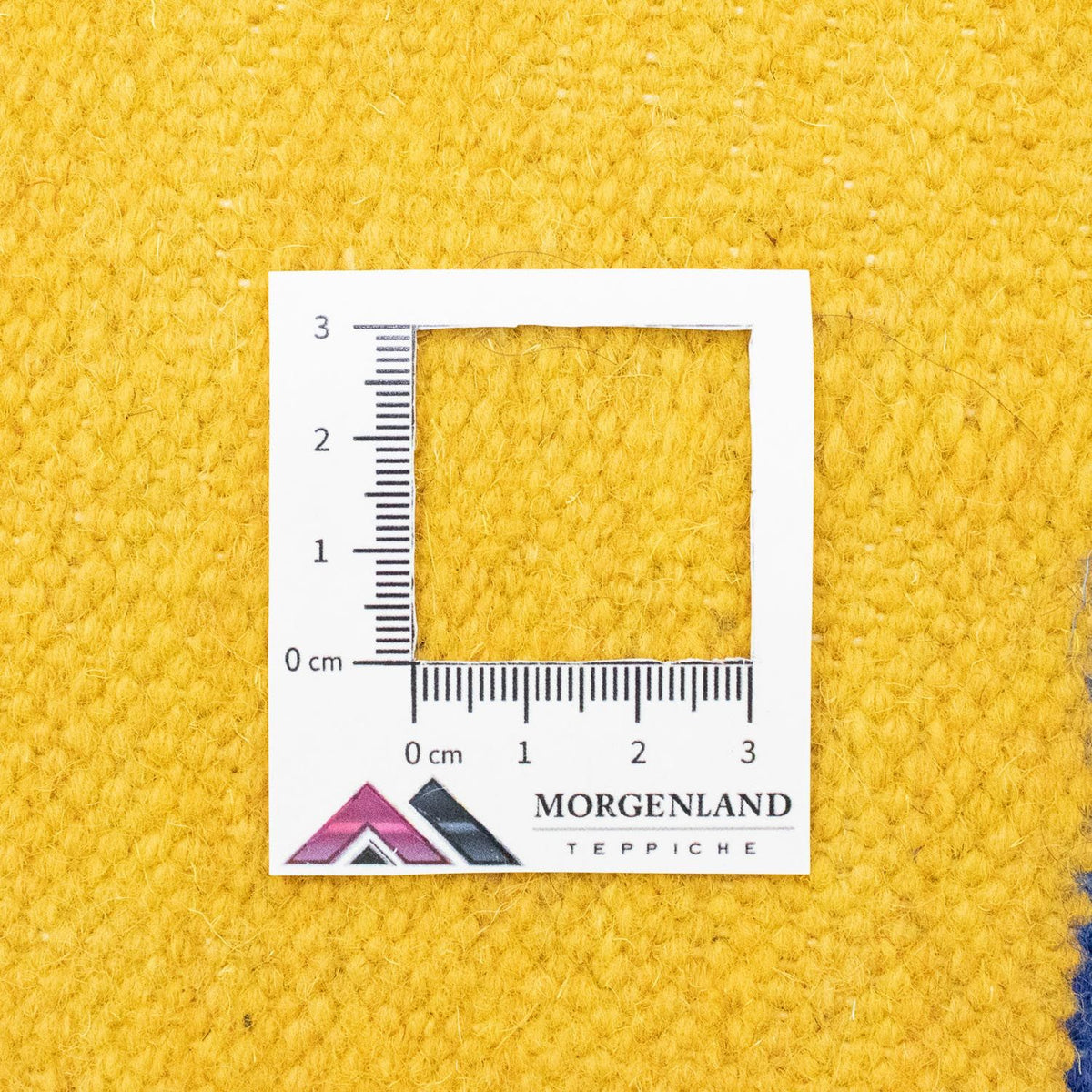 Kelim Rug - Trendy - 300 x 200 cm - orange