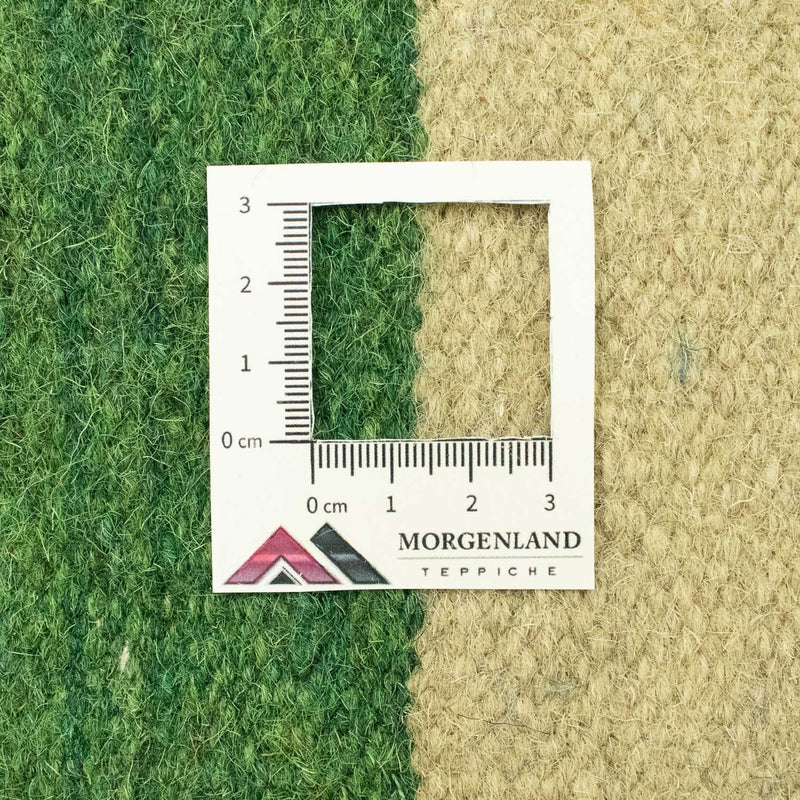 Kelim Rug - Trendy - 300 x 200 cm - beige