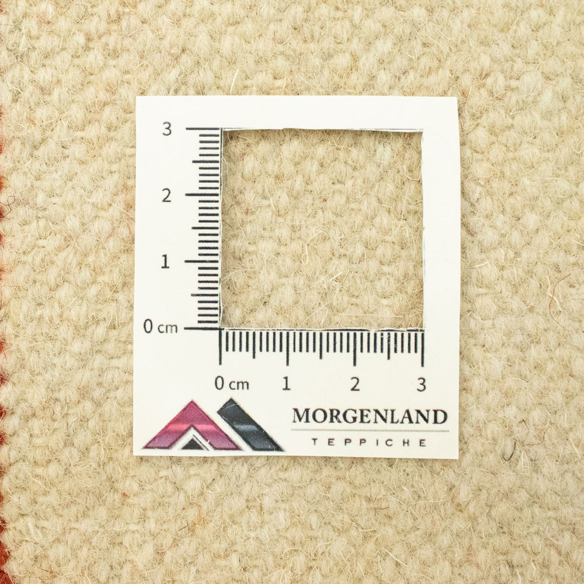 Kelim Rug - Trendy - 300 x 200 cm - beige