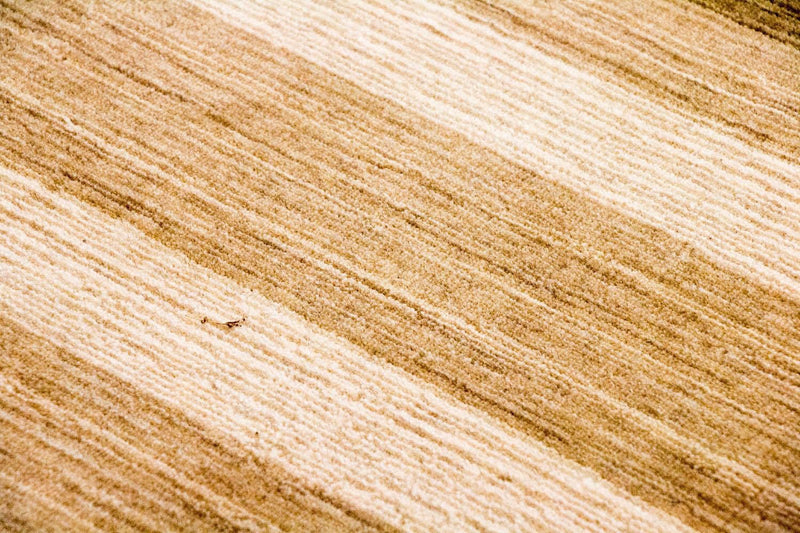 Wool Rug - 182 x 123 cm - multicolored