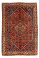 Bidjar Rug 168x116cm - Persian Rugs