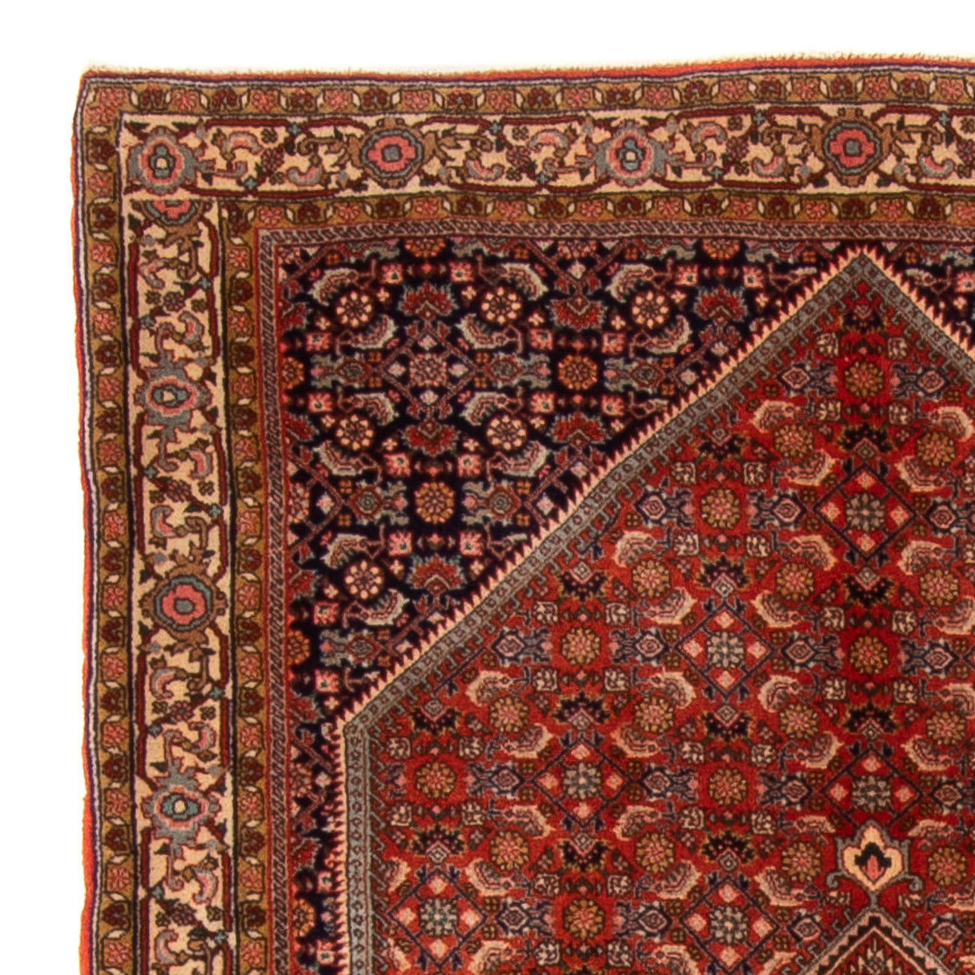 Bidjar Rug 168x116cm - Persian Rugs