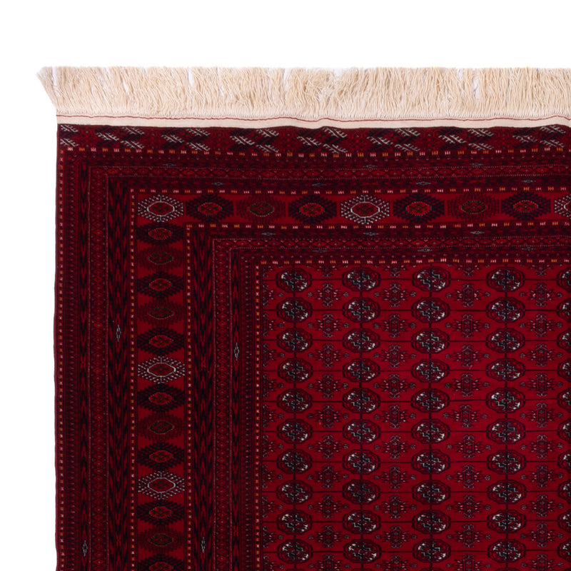 Afghan Rug - Bukhara - 390 x 296 cm - dark red