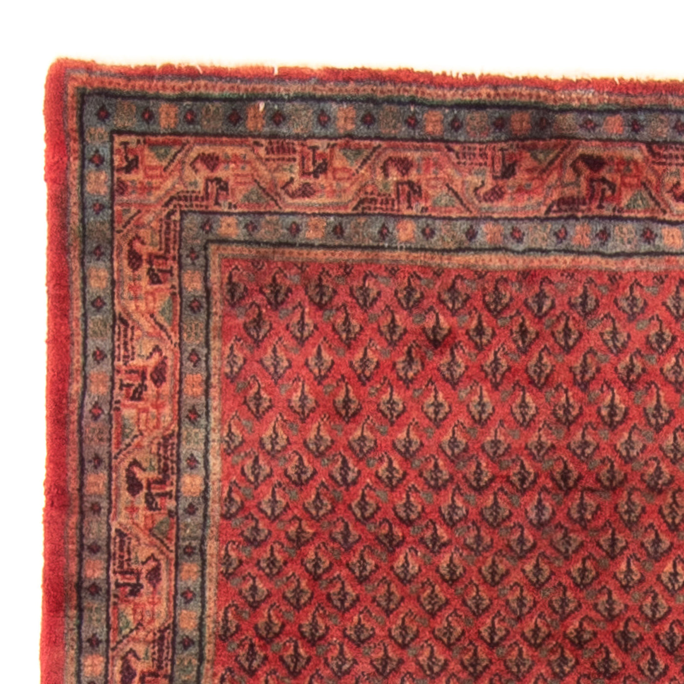 Mir Rug 160x95cm - Persian Rugs