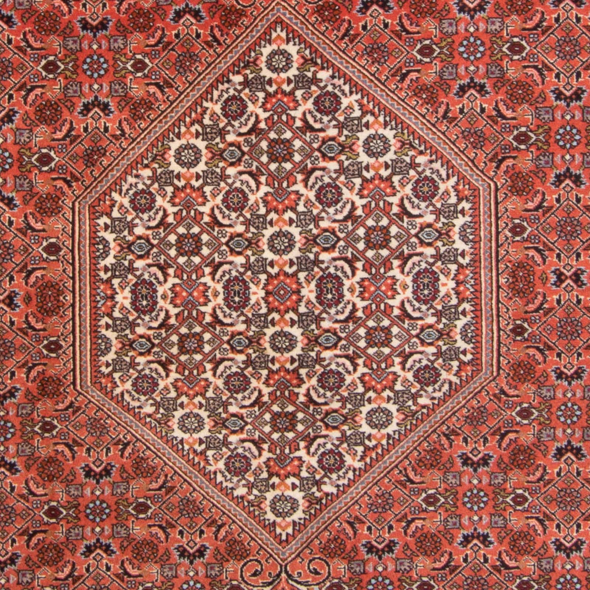 Perser Rug - Bidjar - 295 x 195 cm - red