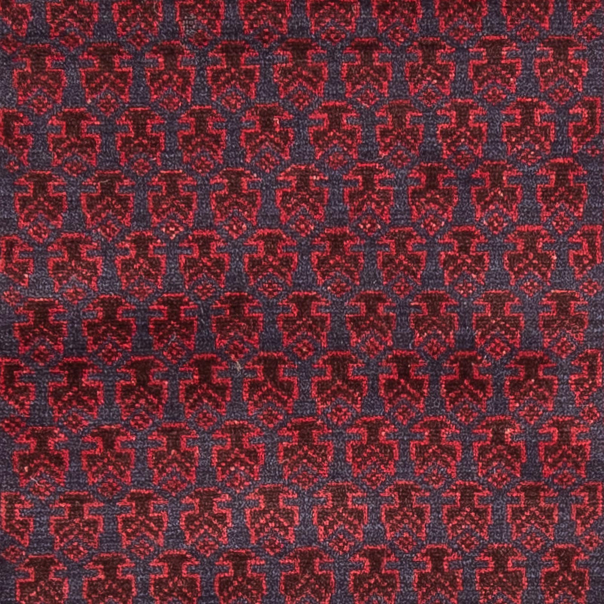 Belutsch Rug - Prayer Rug - 140 x 87 cm - blue