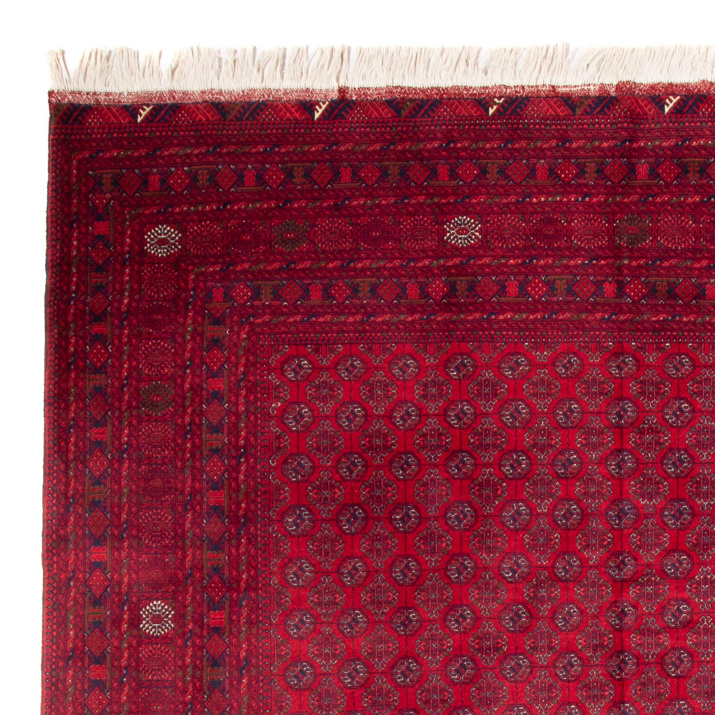 Bukhara Rug 340x240cm - Oriental Rug