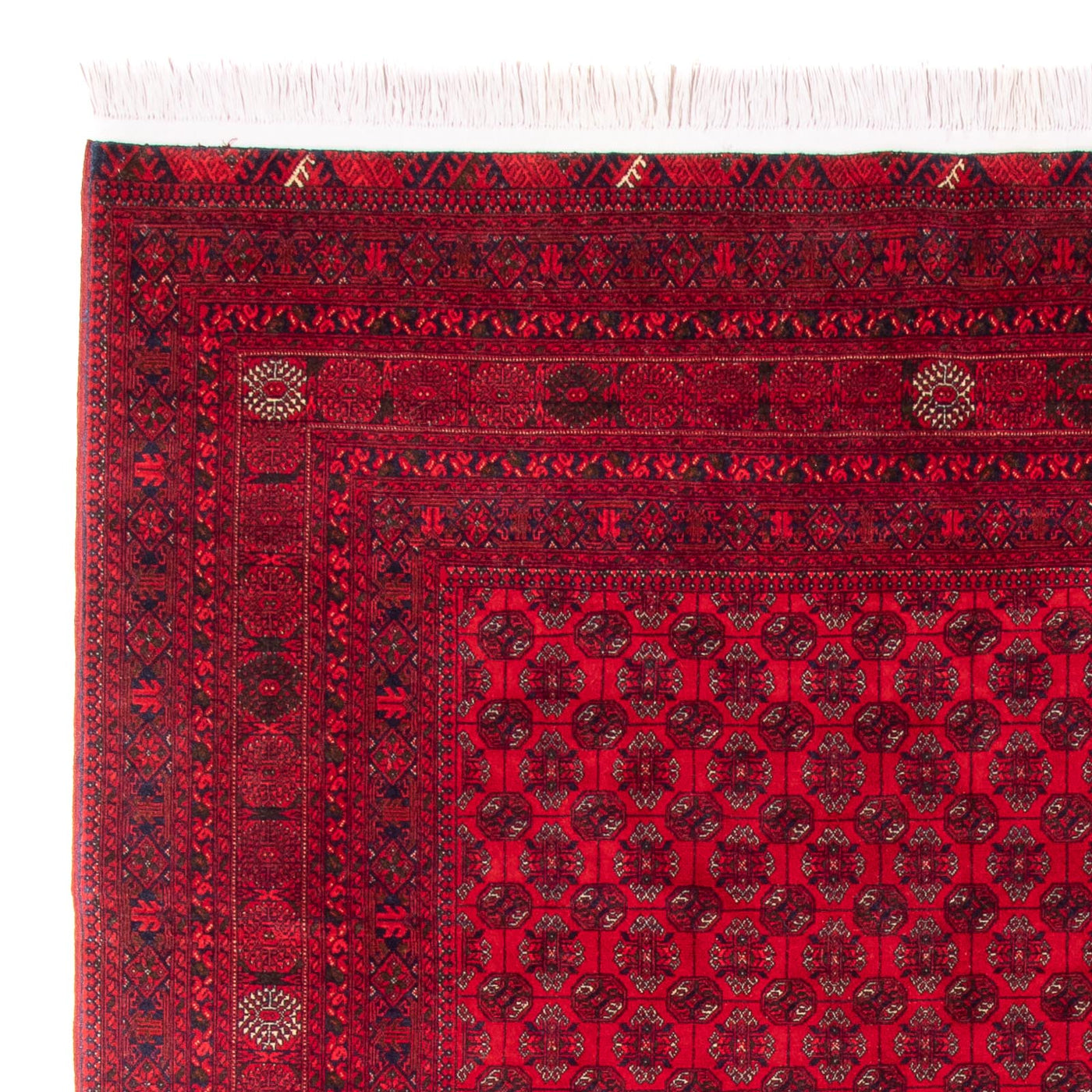 Bokhara Rug 290x196cm - Oriental Rug