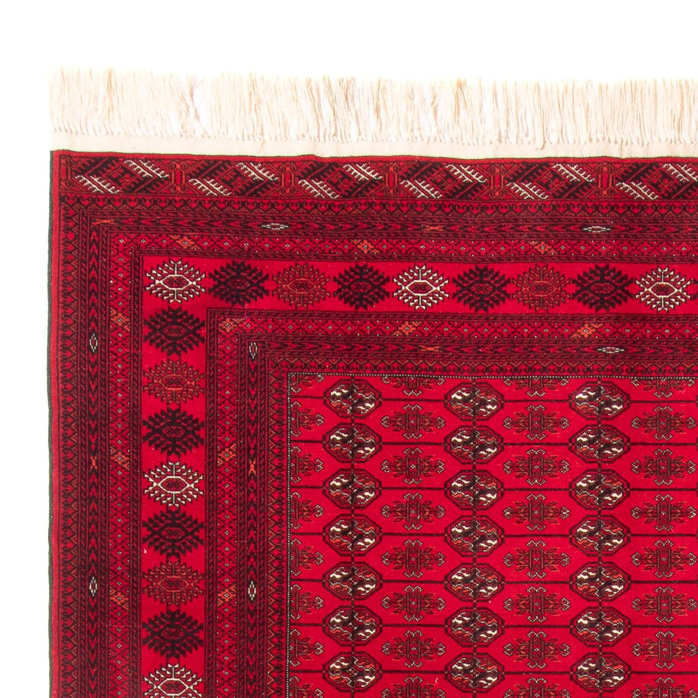 Bukhara Rug 282x200cm - Oriental Rug