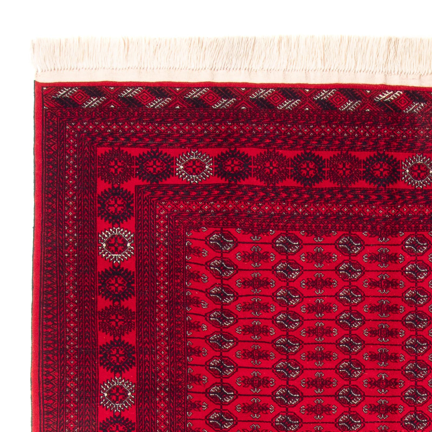 Bukhara Rug 292x200cm - Oriental Rug
