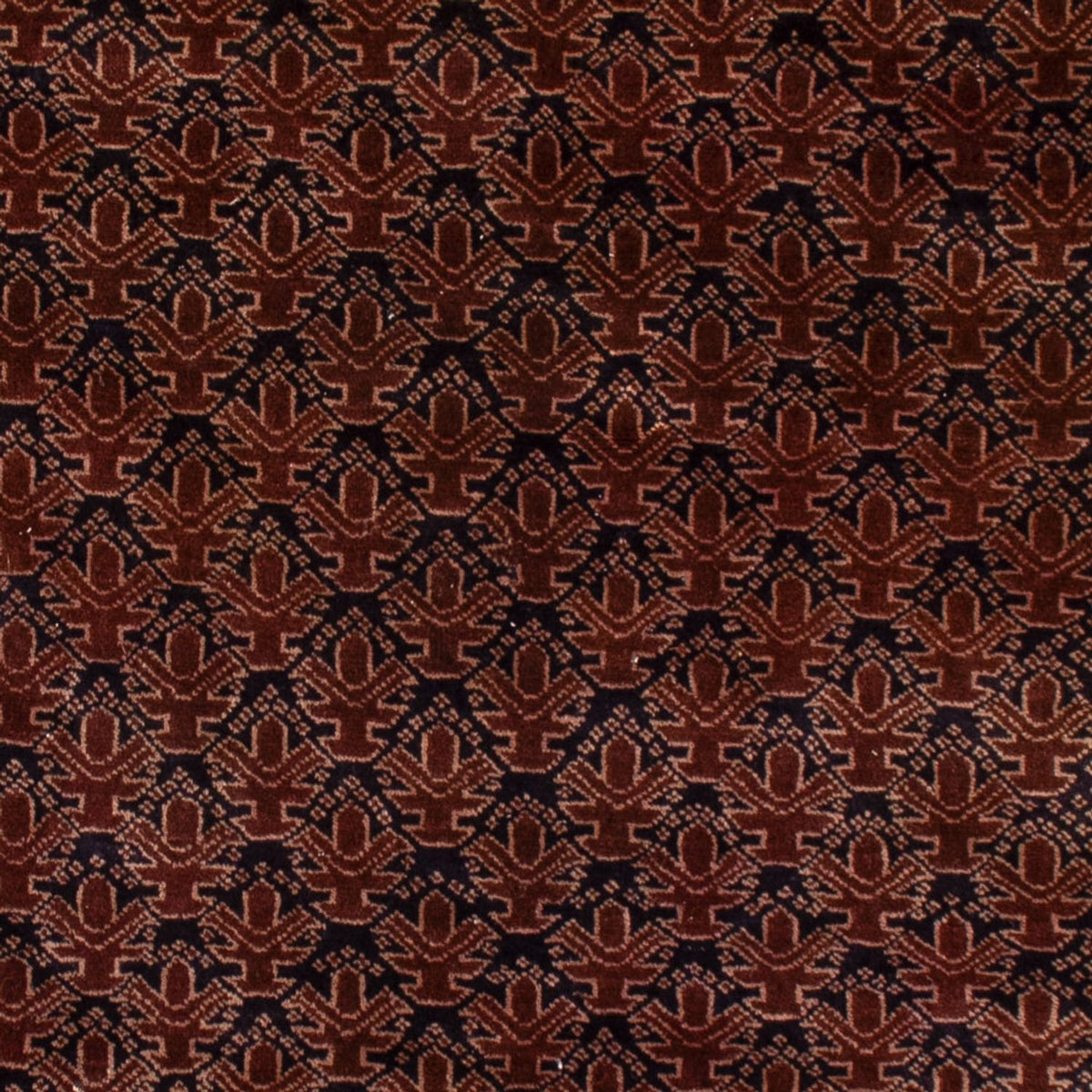 Belutsch Rug - 140 x 102 cm - red