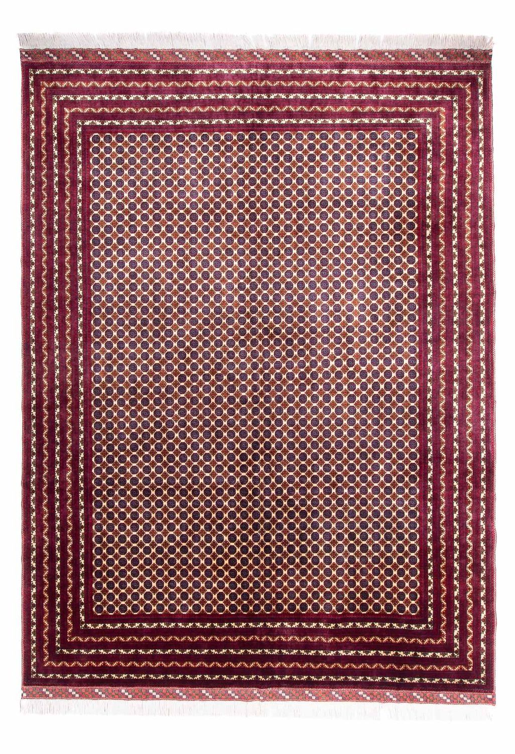 Afghan Rug - 341 x 260 cm - beige