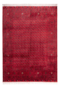 Afghan Rug - 343 x 248 cm - red