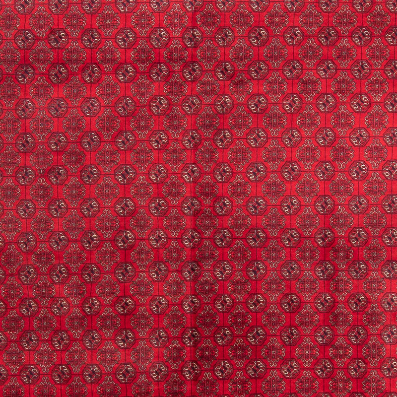 Afghan Rug - 343 x 248 cm - red