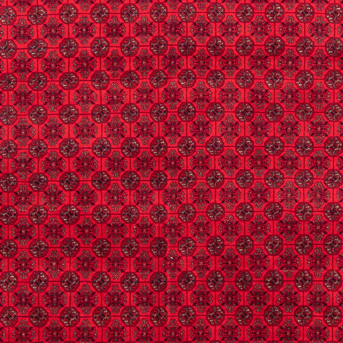 Afghan Rug - 295 x 194 cm - red