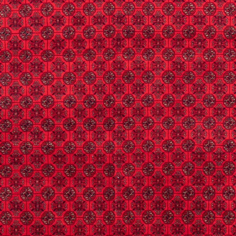 Afghan Rug - 295 x 194 cm - red