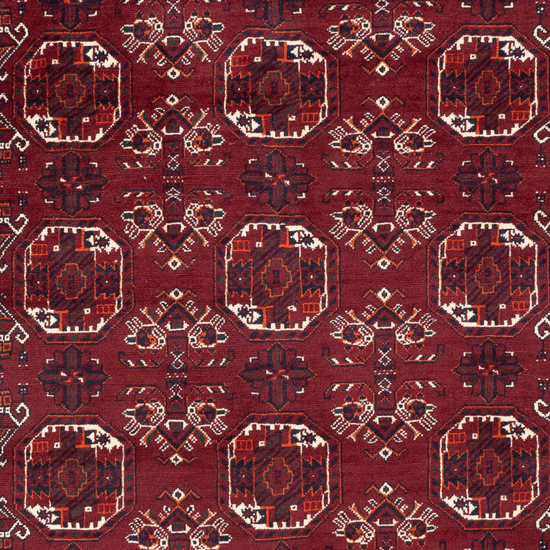 Afghan Rug - Bukhara - 290 x 201 cm - dark red