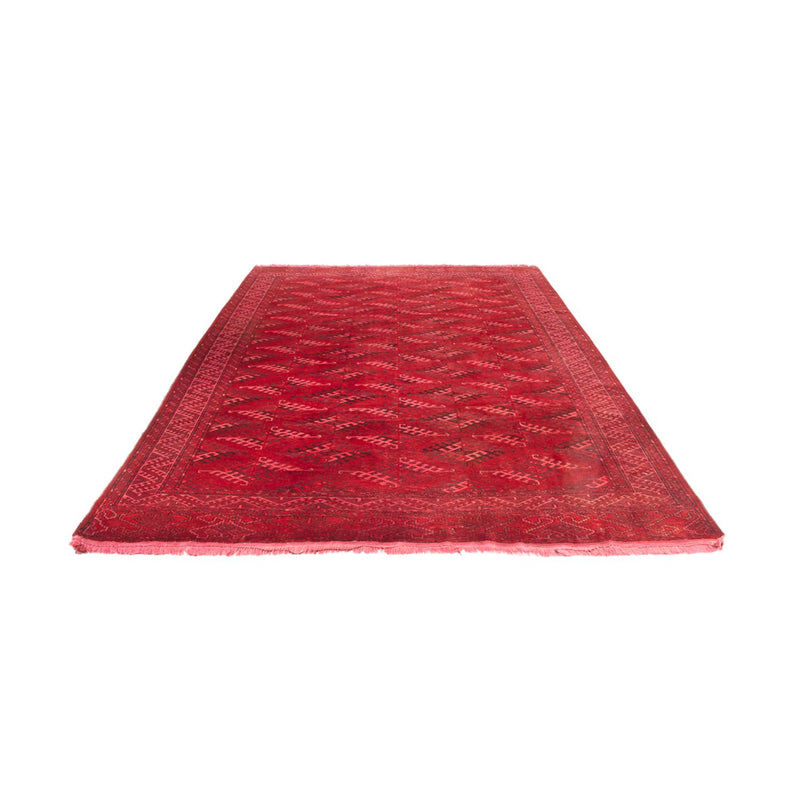Oriental Rug - 323 x 279 cm - red