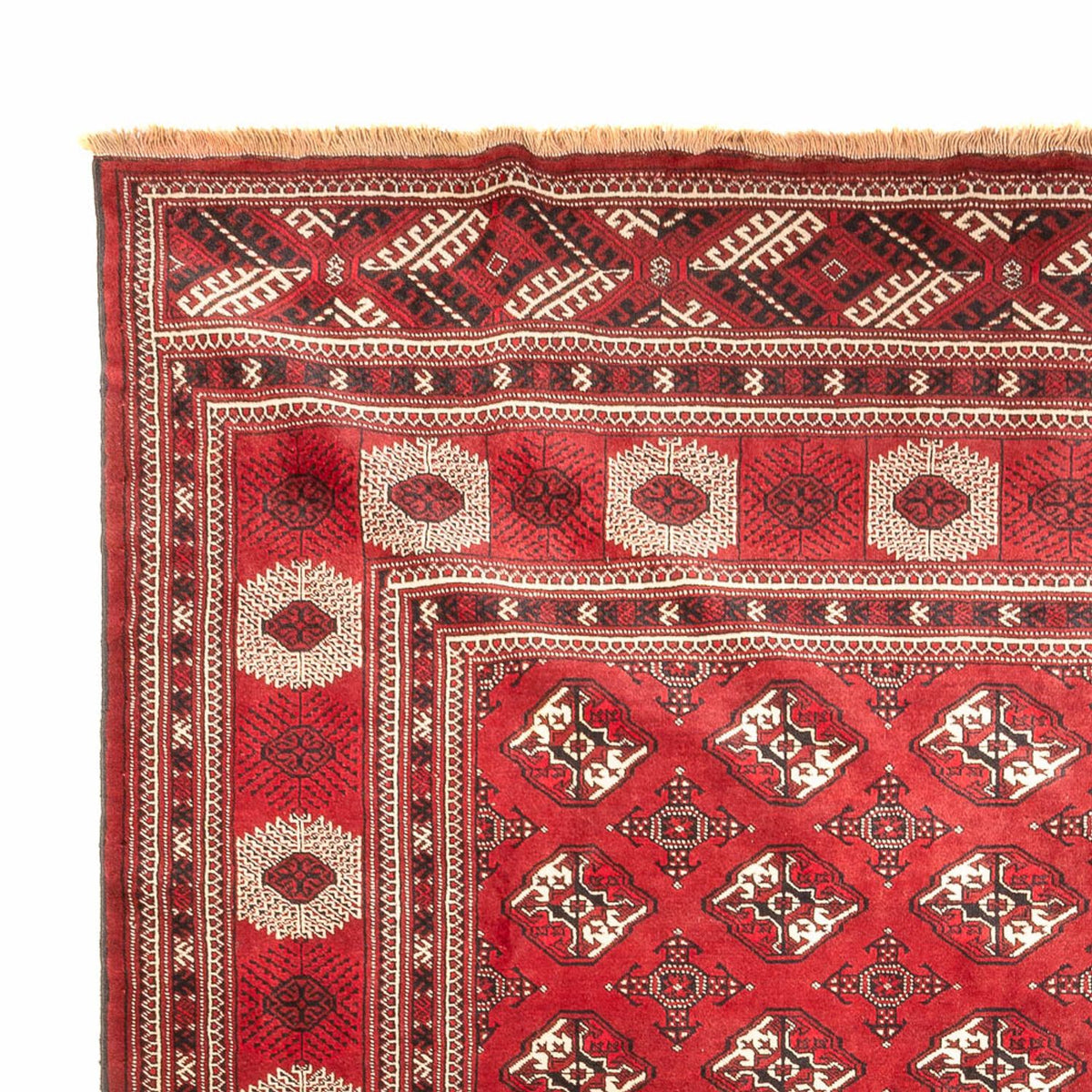 Turkaman Rug - 391 x 270 cm - red