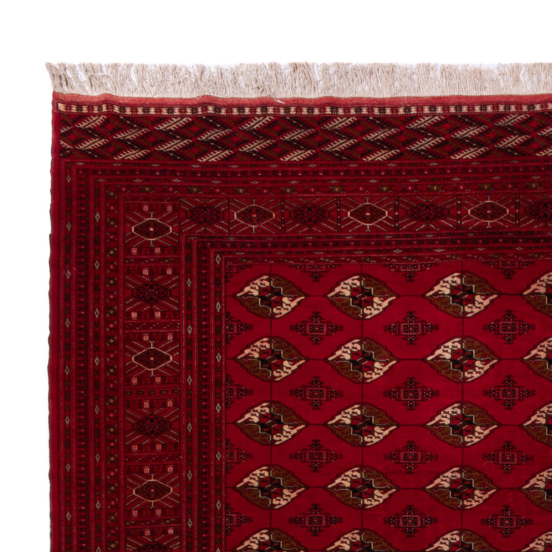 Afghan Rug - Bukhara - 382 x 300 cm - red