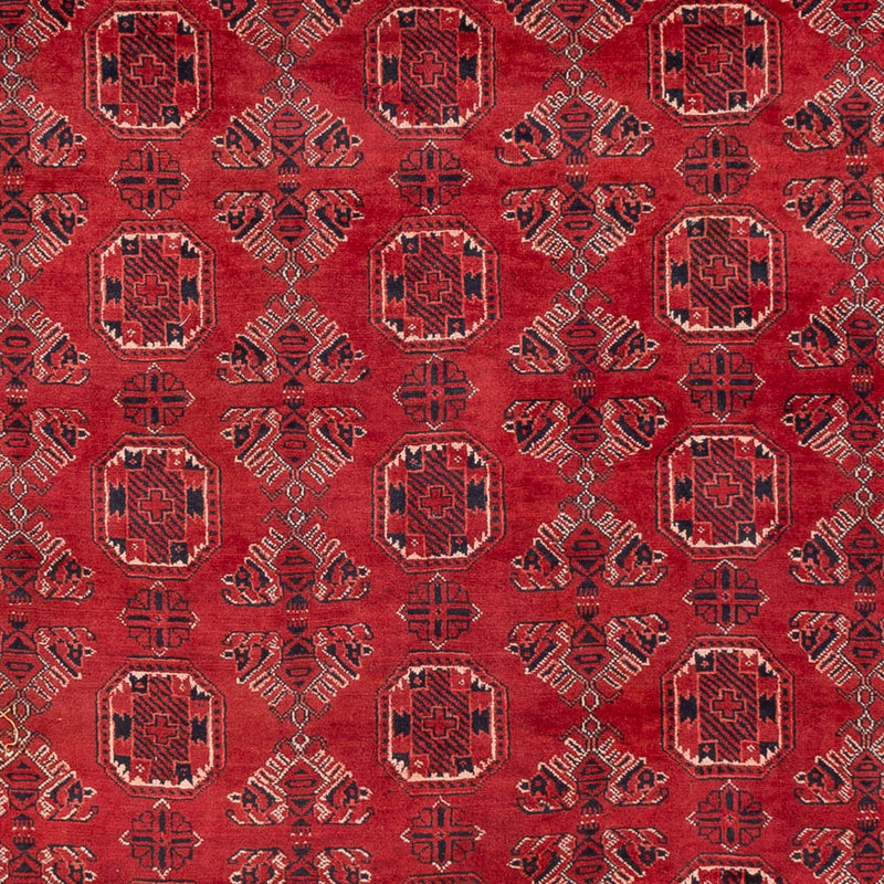 Afghan Teppich 275x203cm - Orientteppich