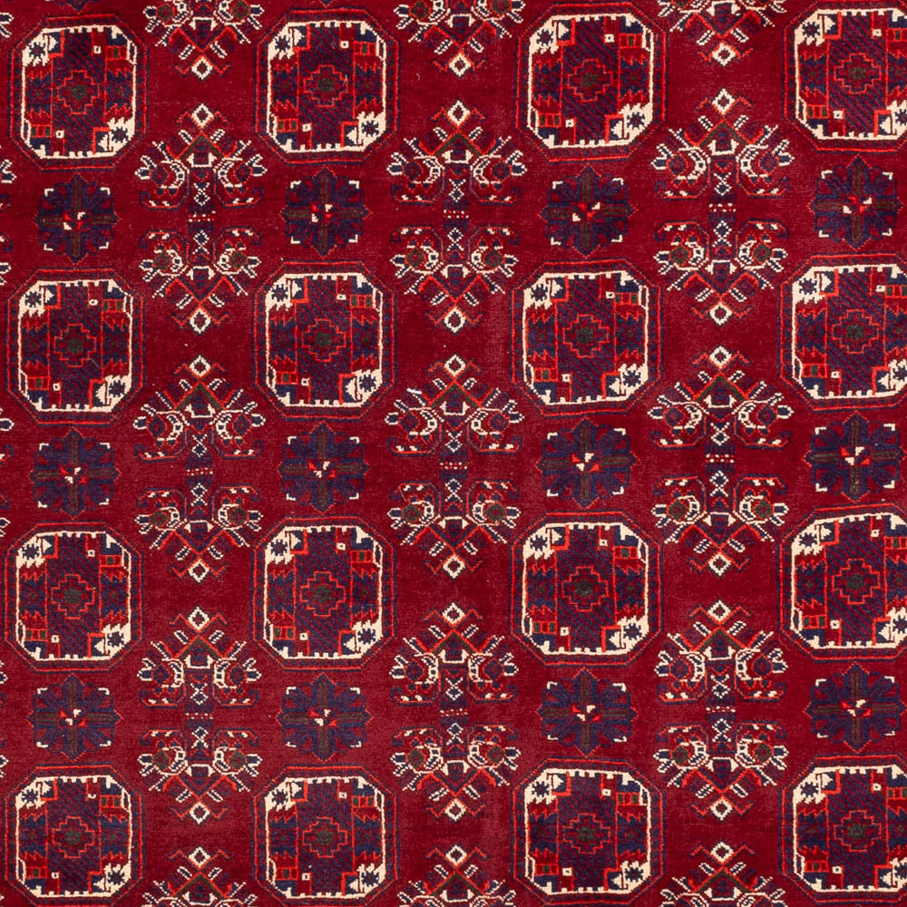 Afghan Rug - Bukhara - 288 x 197 cm - red