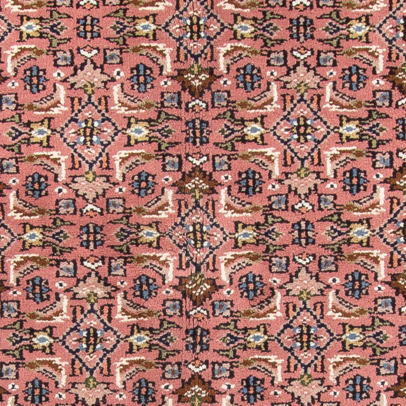 Oriental Rug - Bidjar - Indus - 240 x 170 cm - salmon