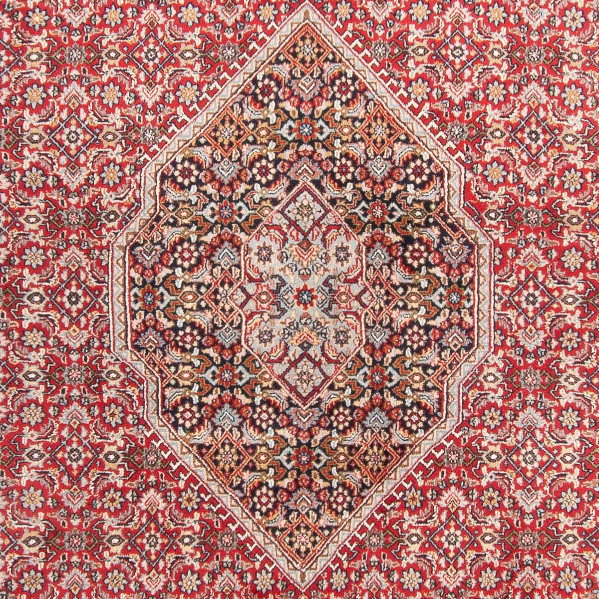 Oriental Rug - Bidjar - Indus - 407 x 305 cm - red