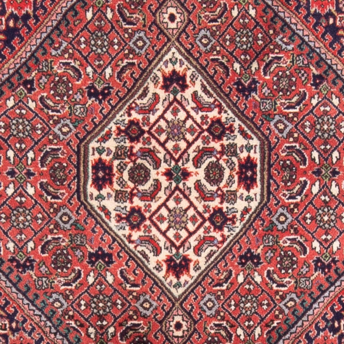 Perser Rug - Bidjar - 105 x 75 cm - red