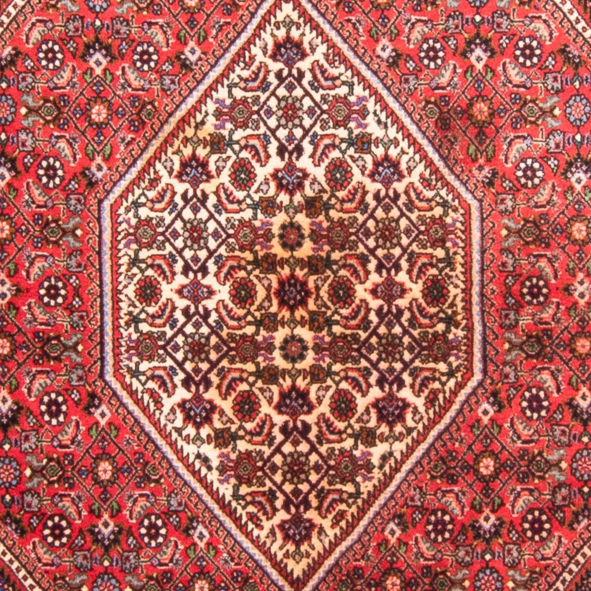 Perser Rug - Bidjar - 170 x 114 cm - red