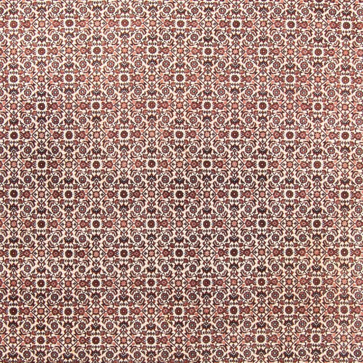 Perser Rug - Bidjar - 340 x 250 cm - beige