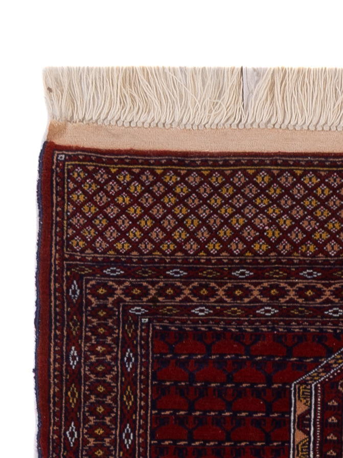 Turkaman Rug - Oriental Rug