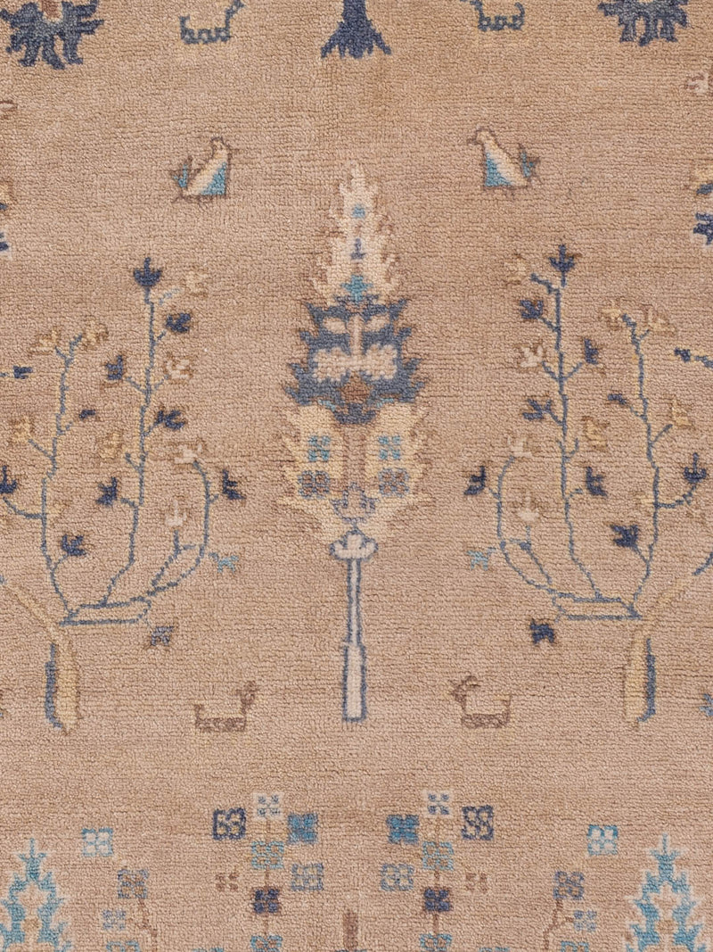 Ziegler Teppich - Ariana - 236 x 169 cm - beige