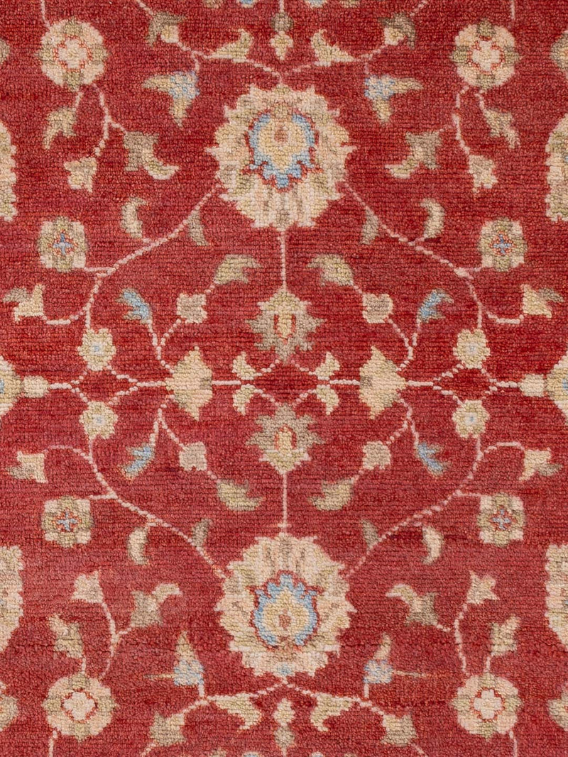 Ziegler Rug - Oriental Rug