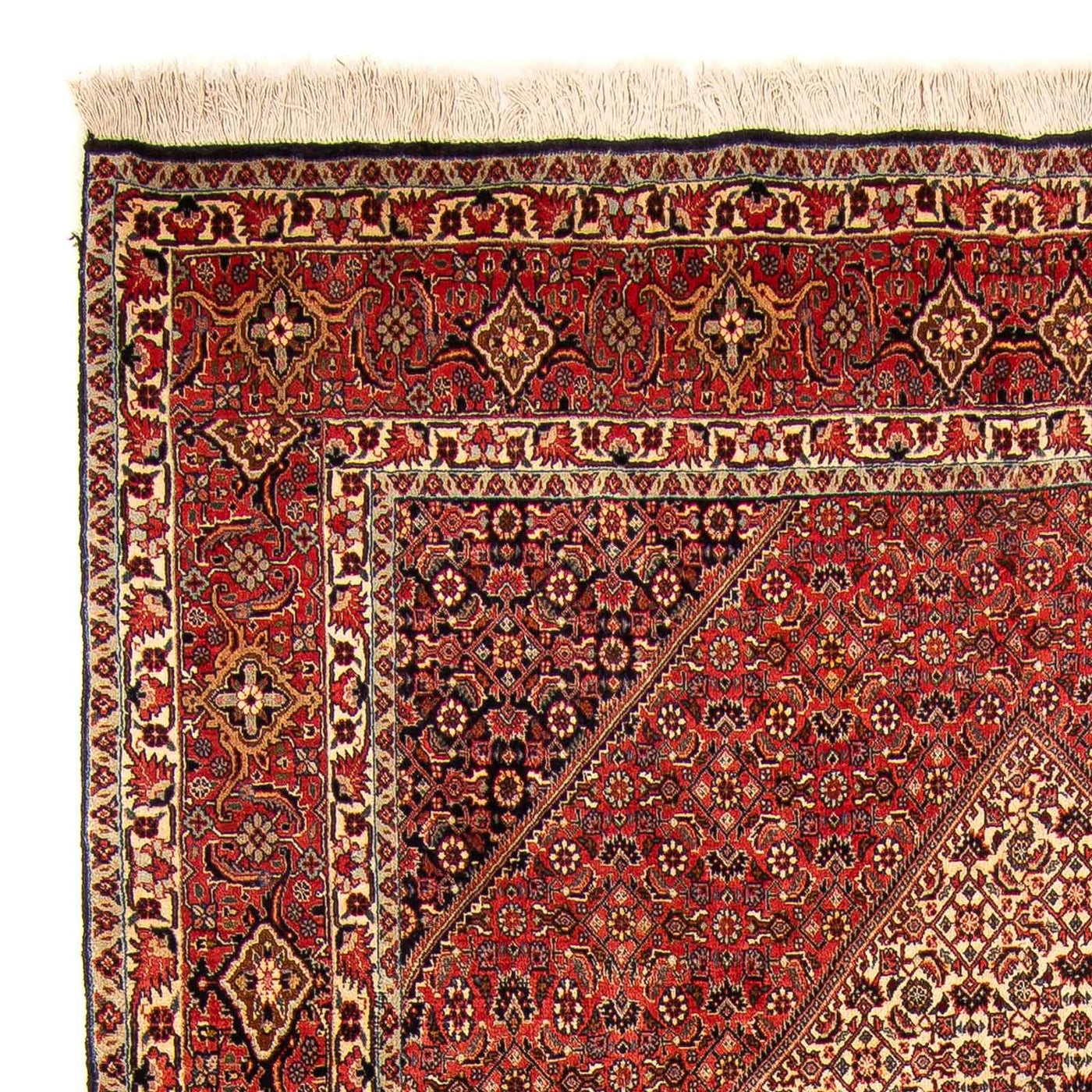 Bidjar Rug 312x172cm - Persian Rugs