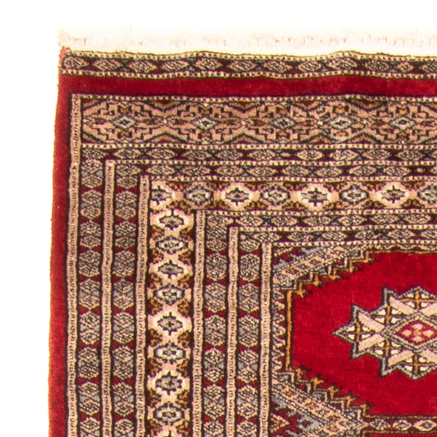 Pakistani Rug 247x83cm - Oriental Rug