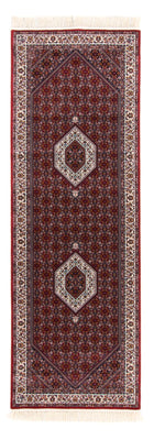 Oriental Rug - Bidjar-Zyon - runner
