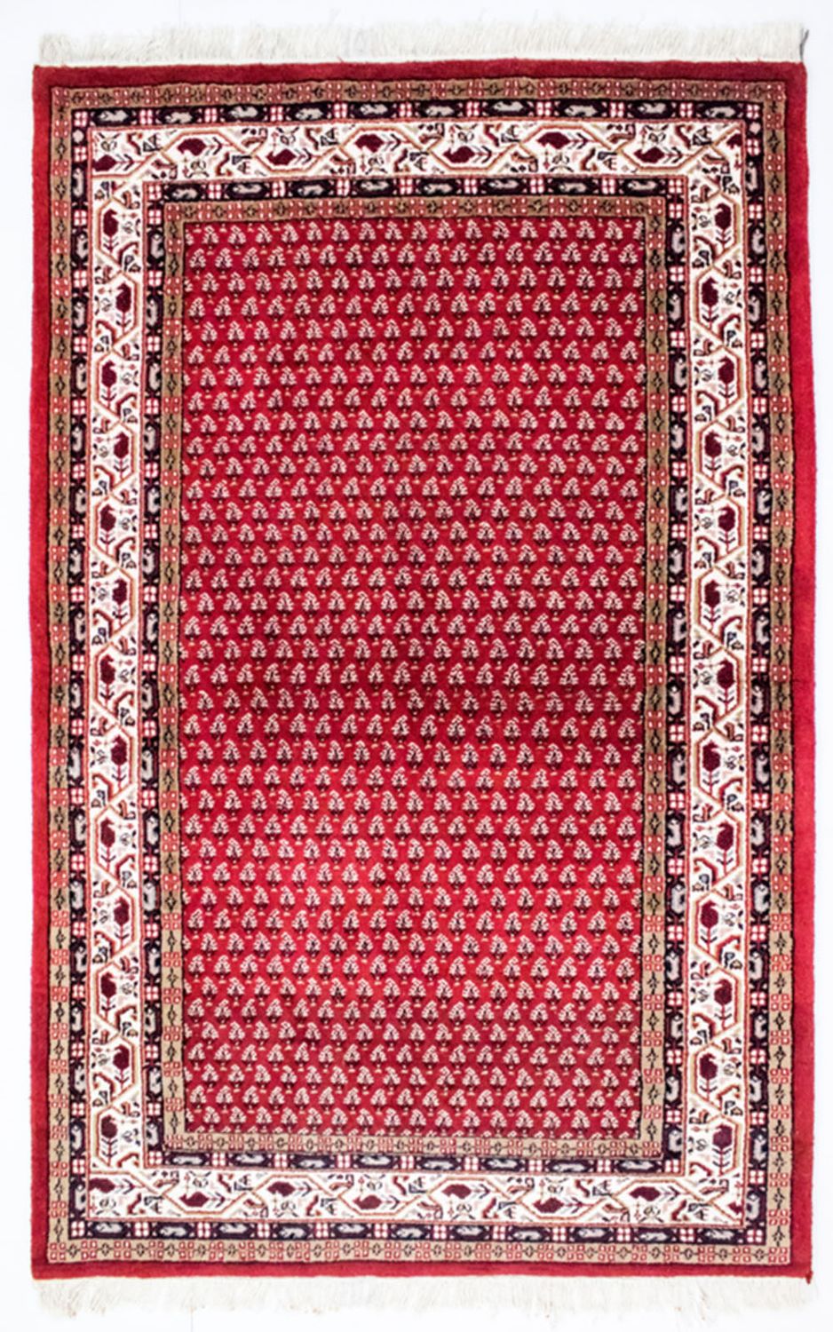 Oriental Rug - Mir - Indus - Assona - rectangle