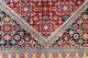 Bidjar Rug - Oriental Rug