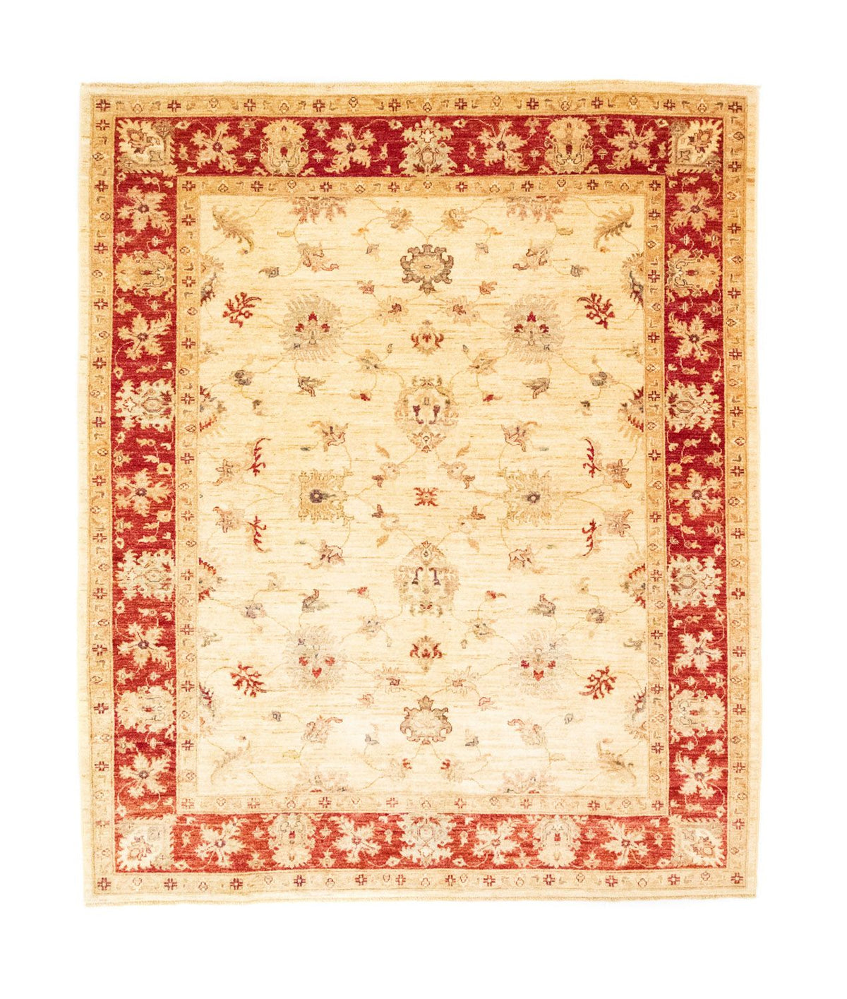 Ziegler Rug - 245 x 197 cm - beige