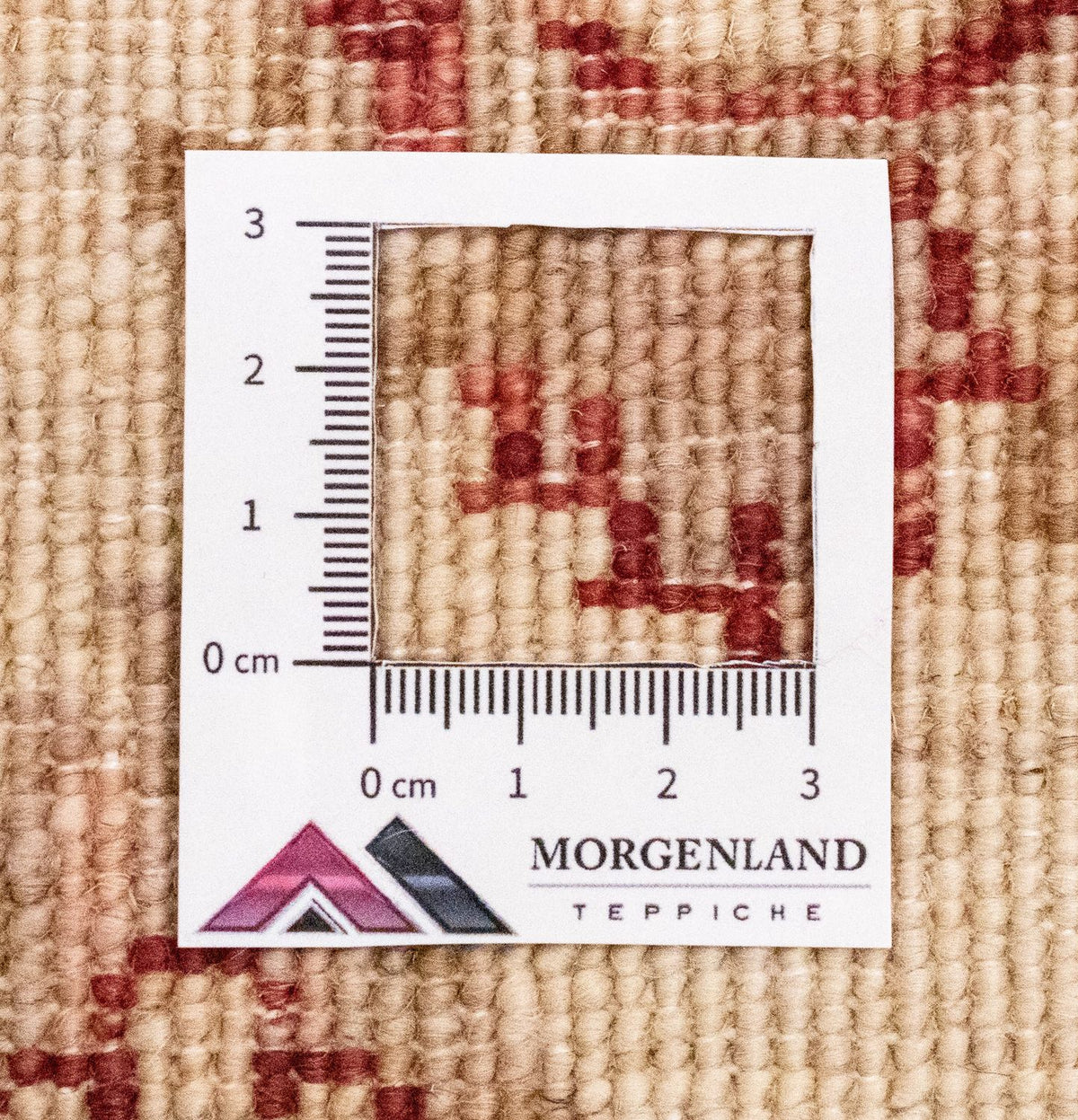 Runner Ziegler Rug - 242 x 81 cm - beige