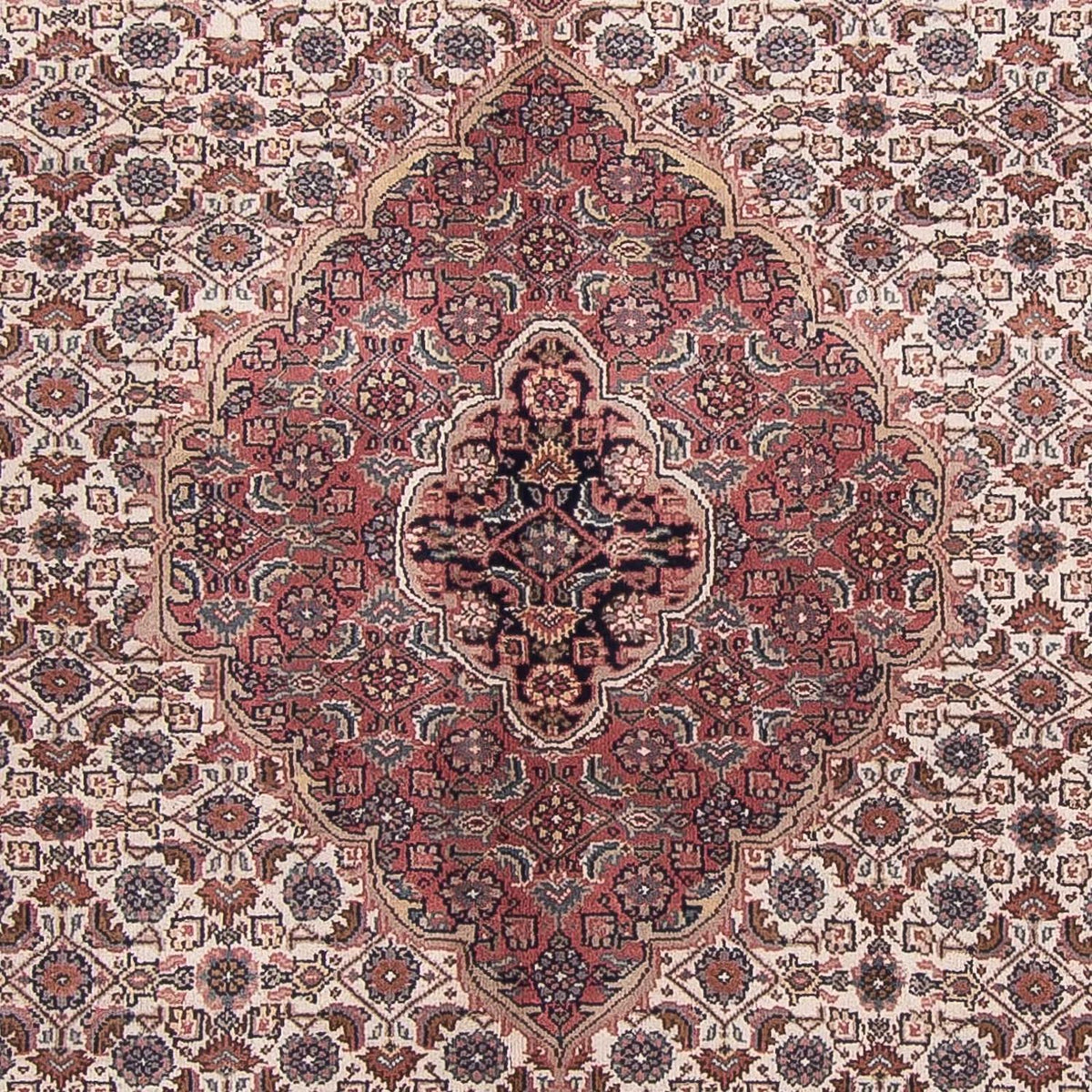 Oriental Rug - Bidjar - Indus - 303 x 245 cm - beige