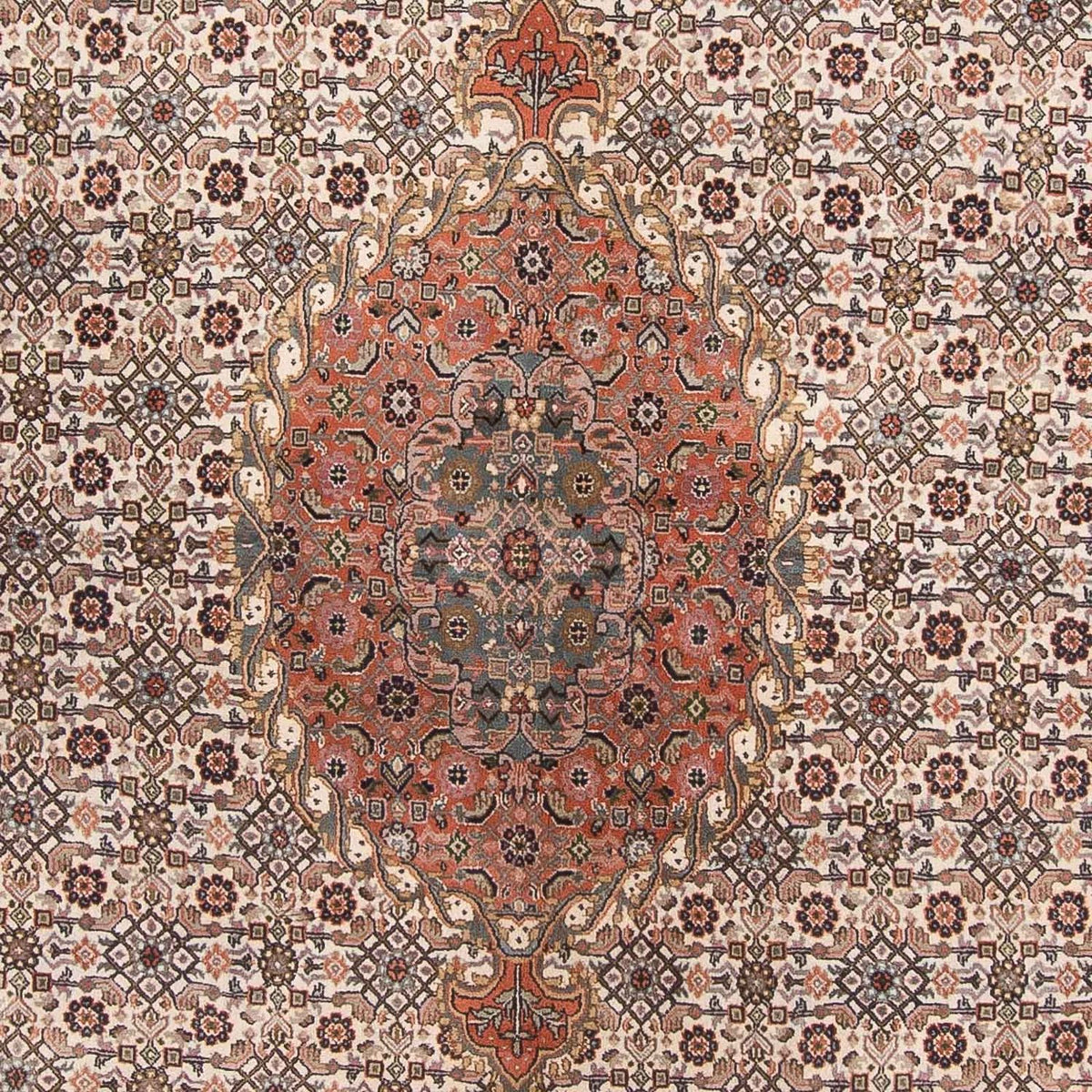 Oriental Rug - Bidjar - Indus - 338 x 243 cm - beige