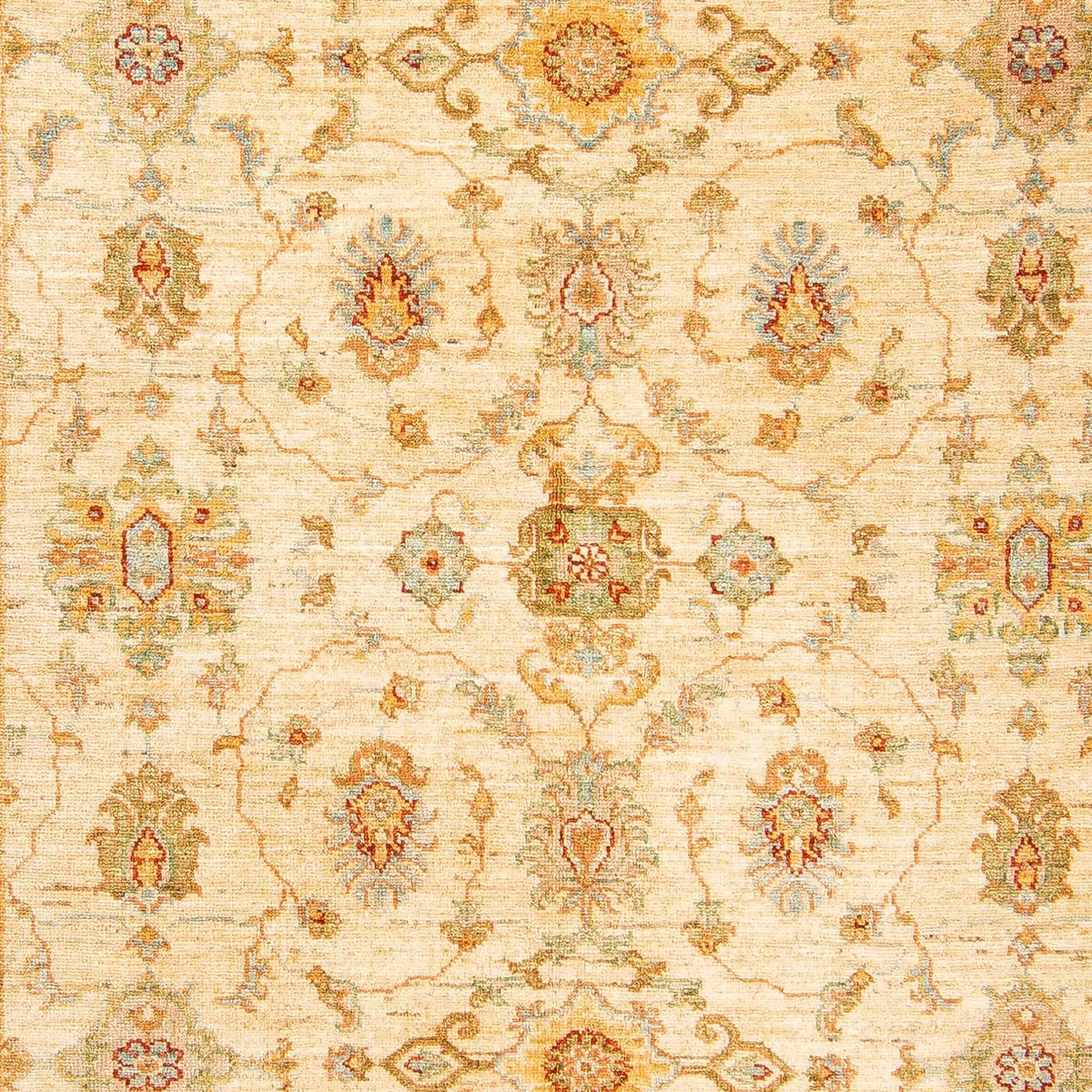 Ziegler Rug - 210 x 150 cm - beige