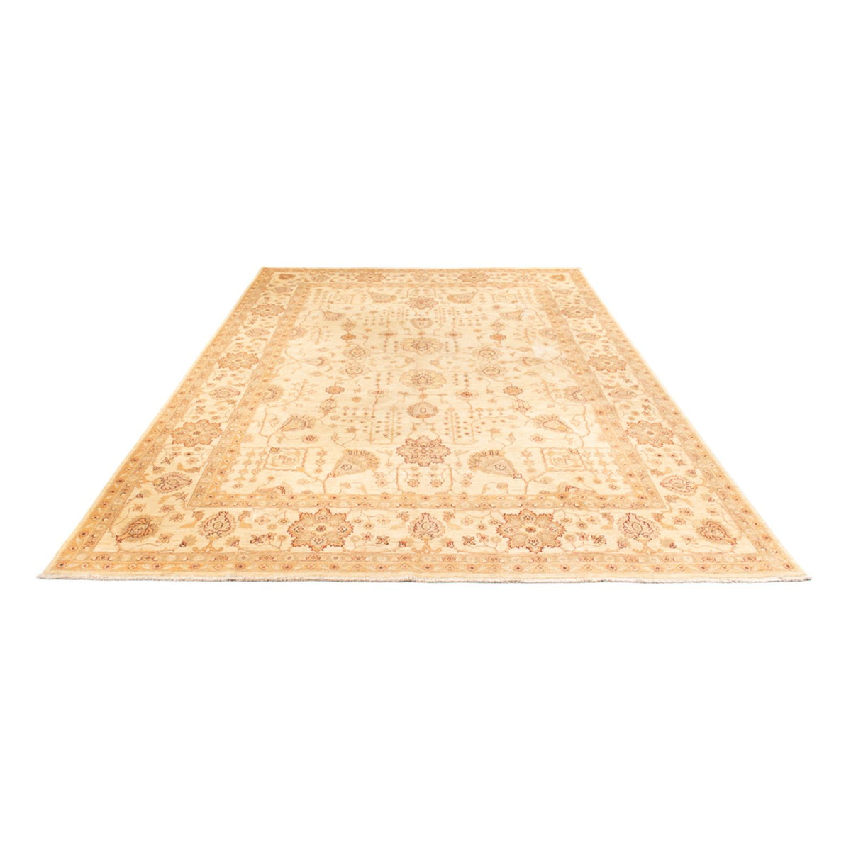 Ziegler Rug - 406 x 288 cm - beige