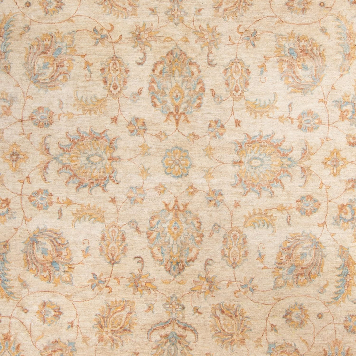 Ziegler Rug - 330 x 247 cm - beige